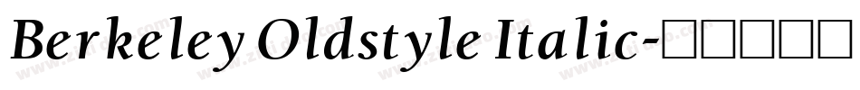 Berkeley Oldstyle Italic字体转换